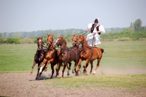 kulturelle Reiseideen